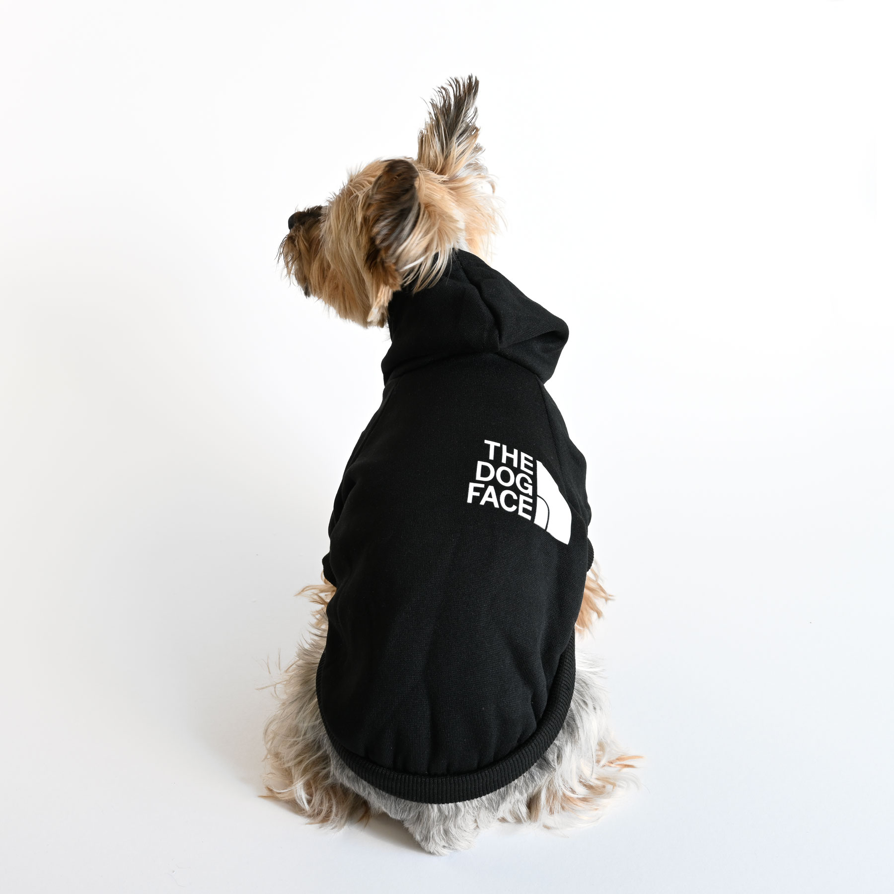 City-Barker-Hoodie-Black