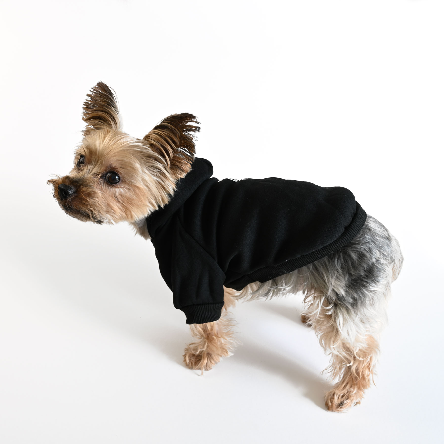 City-Barker-Hoodie-Black3