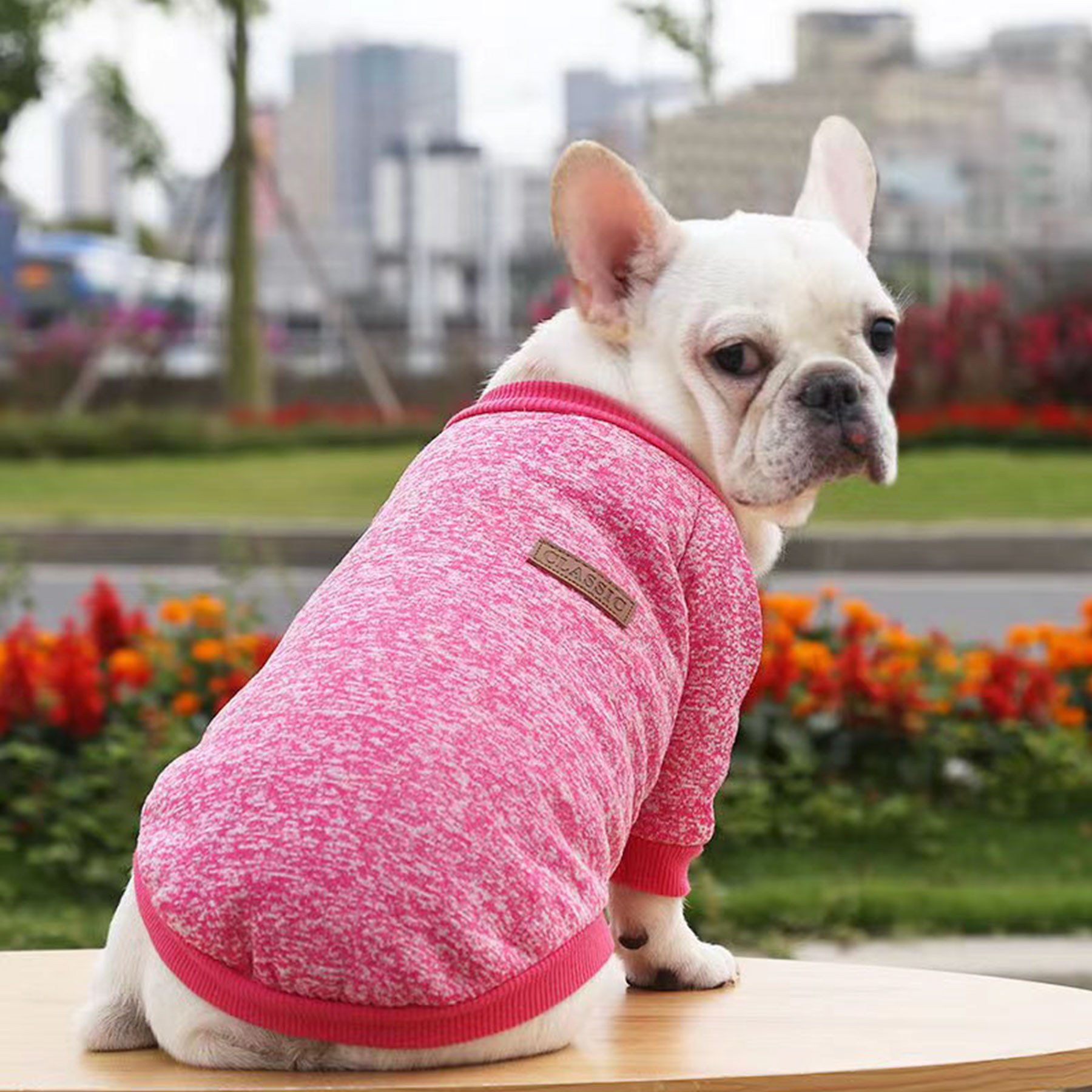 Pet Classic T-Shirt