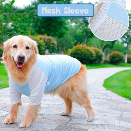 Big Dogs T-Shirts