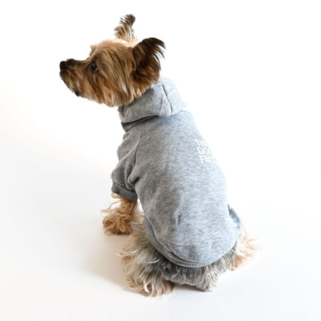 Organic Pet Hoodie