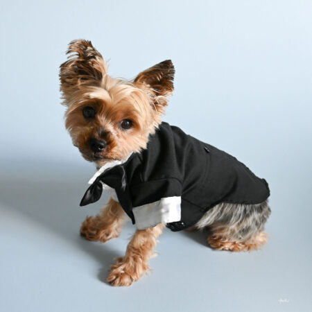 Pet Photography - Pawkage 1