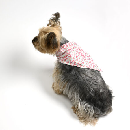 Pet Bandana-Heart Design