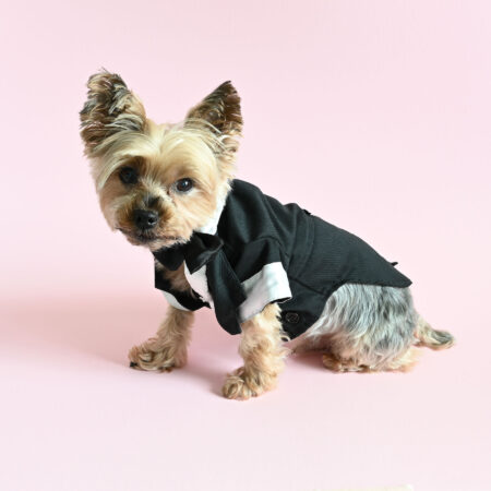 Pet Photography- Pawkage 4