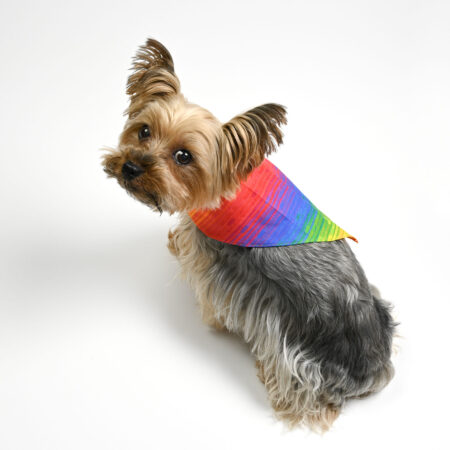 Pet Pride Bandana