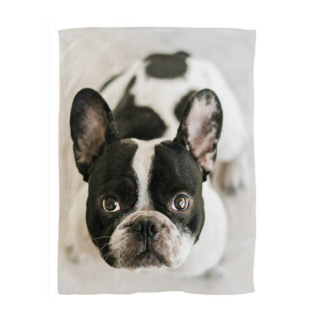 Pet Blanket Custom Print