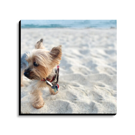 Poster Board Print